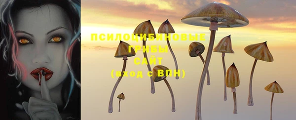 jwh Ростов